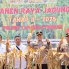 Polres Tapanuli Tengah dan Pemerintah Kecamatan Sibabangun Panen Raya Jagung Tahap 2 di Wilayah Sibabangun