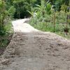 Pemerintah Desa Sipan, Bangun Jalan Rabat Beton Di Dusun I Menuju Akses Perkebunan Warga