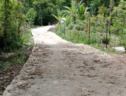 Pemerintah Desa Sipan, Bangun Jalan Rabat Beton Di Dusun I Menuju Akses Perkebunan Warga