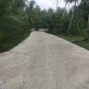 Pemerintah Desa Kinali Kecamatan Barus Wujudkan Permintaan Masyarakat Bangun Jalan Rabat Beton di Dusun Satu