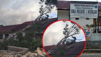 Pohon Tumbang Timpa 2 Ruang Kelas SMA Negeri 1 Sorkam Akibat Angin Kencang