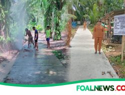 Pemerintah Desa Pastob Jae, Kecamatan Sorkam Barat Rehab Jalan Rabat Beton di Dusun I