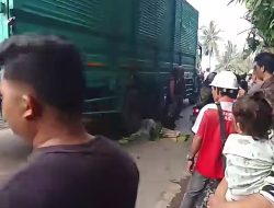 Hendak Pergi Mengajar, Guru SMPN 2 Pergadungan Tewas Terlindas Truk di Tapteng
